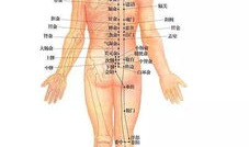 拍打膀胱经视频,轻松缓解腰背酸痛，养生保健新选择